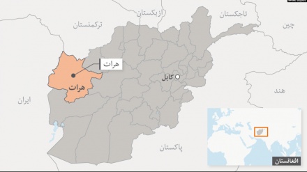 حمله نیروهای طالبان به مخفیگاه داعش در هرات