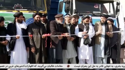 ارسال بزرګترین محموله صادراتی افغانستان به اروپا