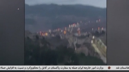 ورود غیرقانونی با چتر