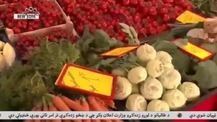 70درصد رکود برای امریکا در سال اینده