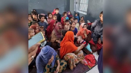 سازمان همکاری اسلامی: علمای جهان اسلام علیه منع تحصیل دختران در افغانستان اقدام کنند