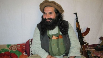 تحریک طالبان پاکستان باہر سے نہیں، پاکستان کے اندر سے حملے کر رہی ہے: نورولی محسود