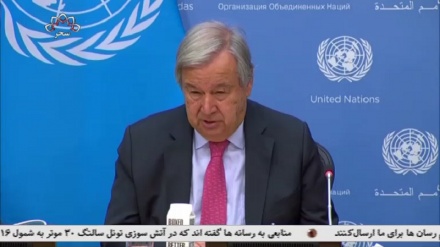 سازمان ملل:طالبان به فعالیت گروه های تروریستی در افغانستان پایان دهند!