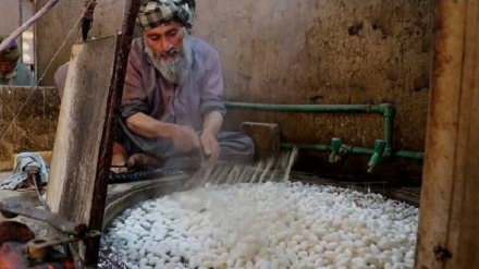 تولید سنتی ابریشم به ‌نام افغانستان و 6 کشور دیگر ثبت یونسکو شد