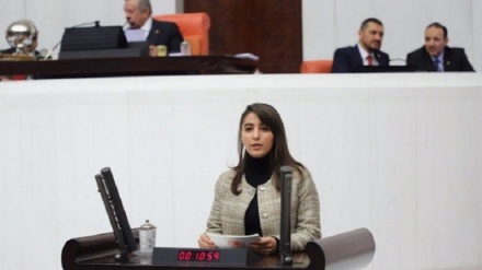 Parlamentera HDP'yê:  Sedî 73ê ciwanan naxwazin li Tirkiyê bijîn