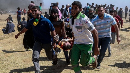 صیہونی فوجیوں کی جارحیت میں درجنوں فلسطینی زخمی  