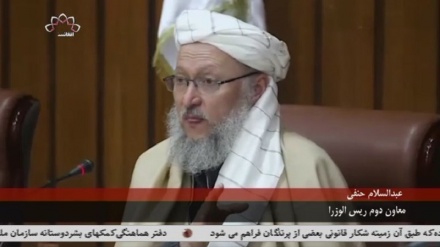 سفر مولوی حنفی به بلخ