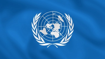 سازمان ملل :مجازات در ملا عام را متوقف کنید