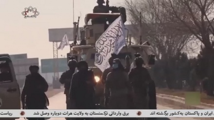 ادعای جدید طالبان درباره همکاری حکومت پیشین و داعش