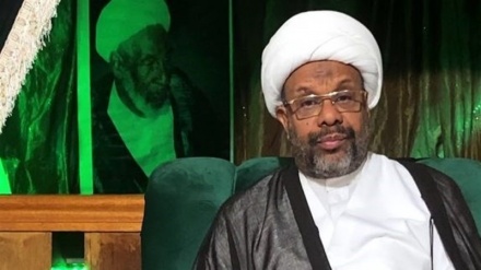 سعودی عرب کے معروف شیعہ عالم  دین کو 4 سال قید کی سزا