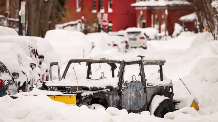  60 viktima nga kallkani në Amerikë