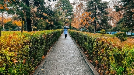 تہران میں موسم خزاں کی بارش کے دن