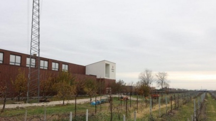 Tragjedi në kantinën e verës në Itali, 43-vjeçari shqiptar vdes nga asfiksia