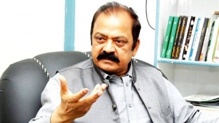 پاکستان: گروه «تی تی پی» از همه امکانات در افغانستان برخوردار است