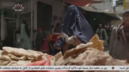 ارسال گزارش وضعیت افغانستان به شورای امنیت سازمان ملل