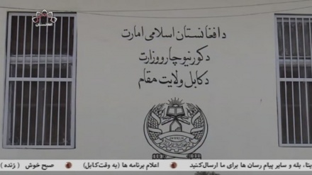 تاکید والی جدید کابل بر حل مشکلات باشندگان