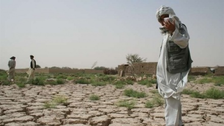 باران های خزانی مشکل کبود آب در هرات را حل نکرده است