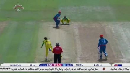 واکنش به لغو بازیهای کریکت از سوی استرالیا