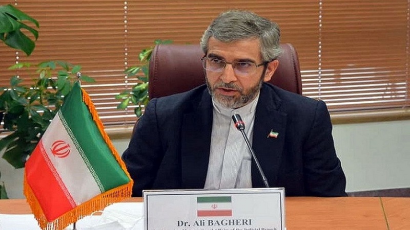 ایران نے عالمی ایٹمی ایجنسی کے ساتھ ہمیشہ تعاون کیا ہے: علی باقری کنی 