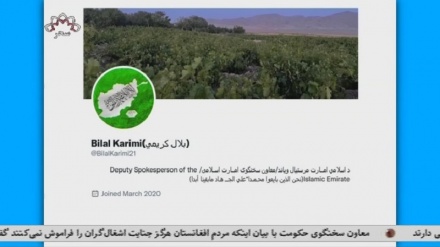 واکنشها به نشر کتاب شاهزاده هری قاتل 25 افغانستانی