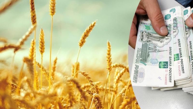 Türkiyə taxılı rublla ödədi