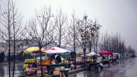 تصاویر زیبای بارانی از کابل همراه  آهنگ مقبول مهدی فرخ