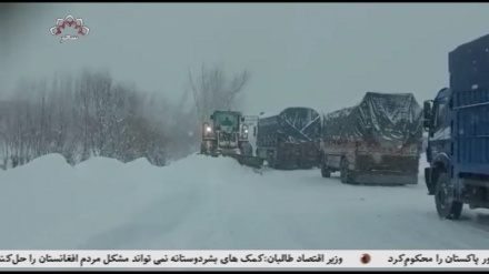 گذرگاه سالنگ پس از بیست ساعت بازگشایی شد!