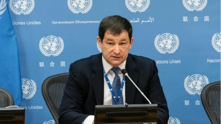 سلامتی کونسل میں صیہونی وزیر خزانہ کے بیان کی مذمت