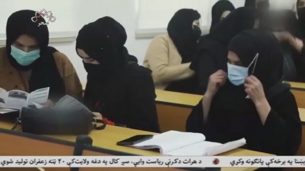 پذیرش دانشجویان دختر افغان در ایران