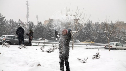 تہران میں برفباری 