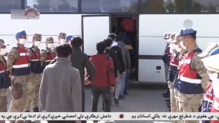 اخراج مهاجرین غیرقانونی از ترکیه