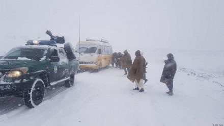سرما استخوان سوز در کشور