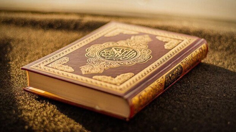 İsveçdən sonra Hollandiyada Quranı cırıb yandırdılar