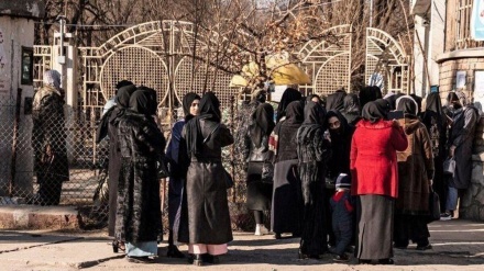 طالبان نے امتحانات میں لڑکیوں کی شرکت پر پابندی کیوں عائد کی، وجہ سامنےآ گئی