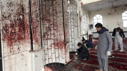 نشر امار حملات داعش در یکسال گذشته