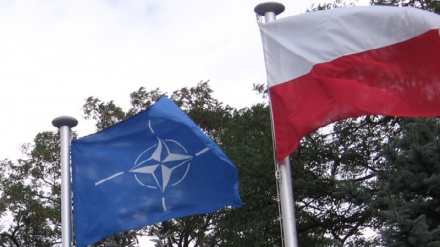  Polonia rekruton numër “rekord” të ushtarëve