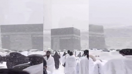 مسجدالحرام کی جعلی ویڈیو جو تیزی سے عام ہو گئی (ویڈیو)