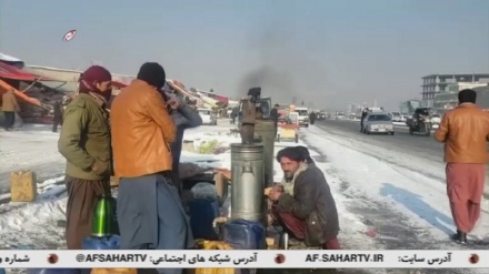 سرمای استخوان سوزدر افغانستان!