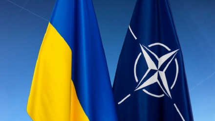 Rapor; Dewama şandina çekên NATO'yê bo Ukraynê di yazdehemîn meha şêrr da