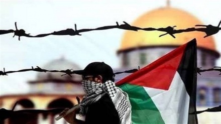 اقوام متحدہ میں صیہونی حکومت مخالف ووٹنگ، او آئی سی اور فلسطین نے کیا خیرمقدم
