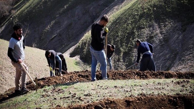 ھەڵمەتی چاندنی نەمام لە ھەرێمی کوردستان بەردەوامە