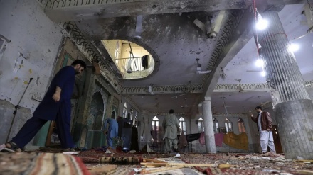 پشاور دھماکہ، اموات کی تعداد تراسی ہو گئی، کالعدم ٹی ٹی پی نے ذمہ قبول کر لی