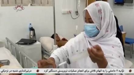  هشدارسازمان حفاظت از کودکان درباره افزایش تعداد کودکان کار 