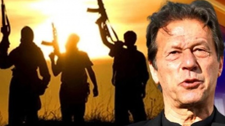 ٹی ٹی پی نے عمران خان کے قتل کے منصوبے کی تردید کر دی