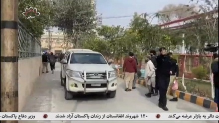 پاکستان: ما خودمان بذر تروریسم را کاشتیم