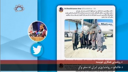 د طالبانو د روغتیا وزارت چارسمبالی، په یوه رسمي سفر ایران ته تللی