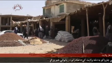 له کندهار څخه د صادراتو ډېرېدل