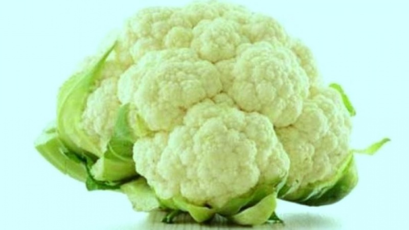 د ګلپپانو روغتيايي ګټې