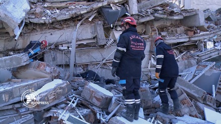 سفیر افغانستان در ترکیه : شانزده تبعه افغانستان جان باخته است .