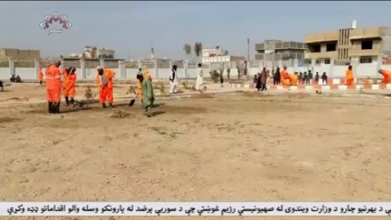 اغاز کمپاین نهال شانی در شهر لشکرگاه